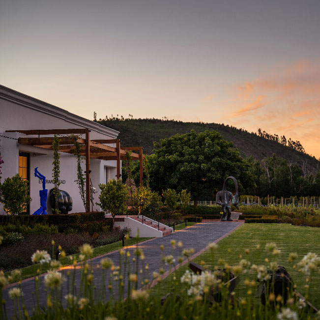Leeucollection blog - Winter Wellness in the Winelands 1