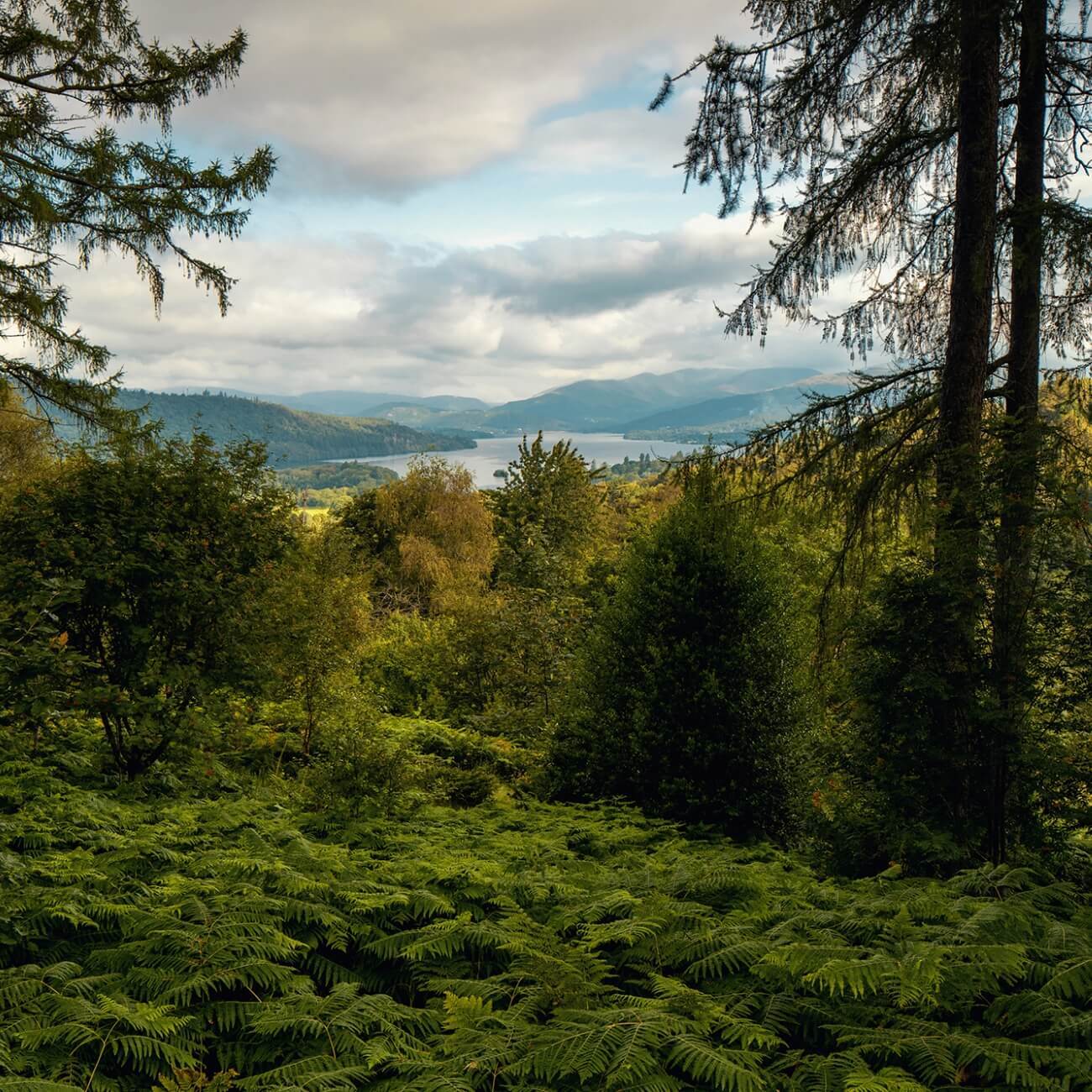 Scenic Road Trip from Inverness to Linthwaite House