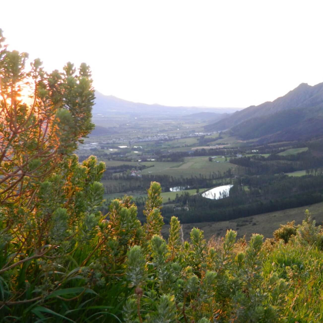 Franschhoek Valley Views