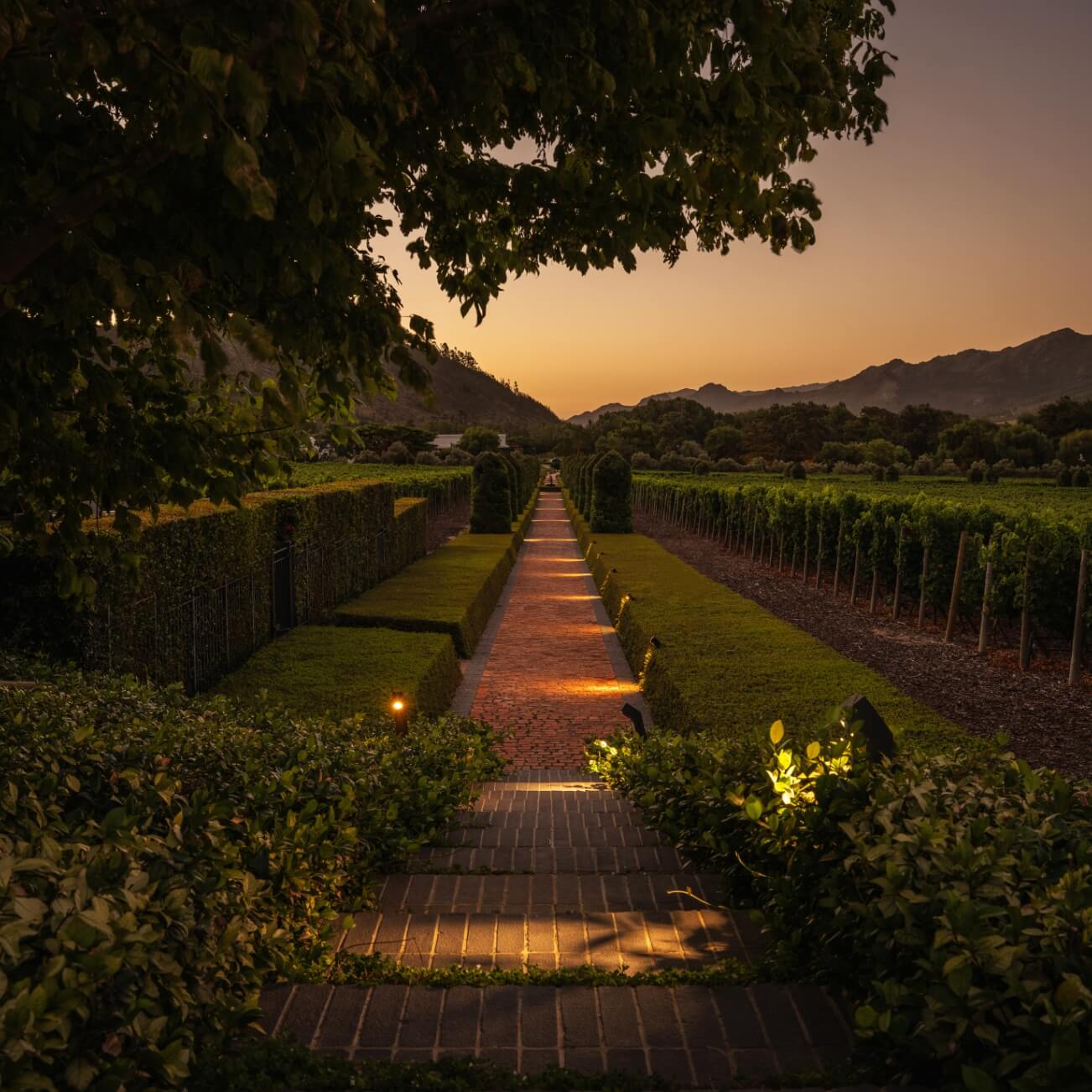 Resident guests at Leeu Estates can enjoy an evening stroll through the manicured grounds